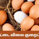 முட்டை விலை குறைப்பு!