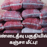 யாழ் மண்டைதீவு பகுதியில் கேரள கஞ்சா மீட்பு!