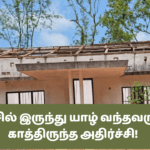 சுவிசில் இருந்து யாழ் வந்தவருக்கு காத்திருந்த அதிர்ச்சி!